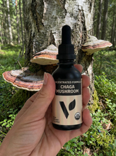 Load image into Gallery viewer, Organic Chaga Mushroom