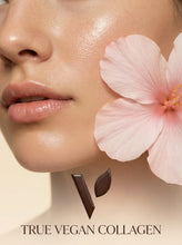 Load image into Gallery viewer, True Vegan Collagen + Vitamin A, Biotin & B5