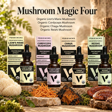 Load image into Gallery viewer, Mushroom Magic Four
